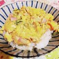 rie-tin's cooksnap of when they made 我が家のお助け丼ぶり.