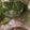 クックTHM5YF☆'s cooksnap of when they made 糖質オフ＆EPA！鰯水煮缶と野菜のスープ.
