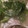 クックTHM5YF☆'s cooksnap of when they made 糖質オフ＆EPA！鰯水煮缶と野菜のスープ.