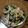 ramieru's cooksnap of when they made 市販の焼豚で野菜和え♪.