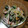 ramieru's cooksnap of when they made 市販の焼豚で野菜和え♪.