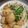 あやまこ。's cooksnap of when they made 豚バラと厚揚げのボリュームおかず.