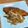 クックE99HSB☆'s cooksnap of when they made 冷凍白身魚フライのあんかけ.