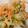 クックS5N2AF☆'s cooksnap of when they made 簡単ブロッコリーと卵のエビマヨサラダ.