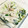 もちっこ橙色's cooksnap of when they made 白だしde白和え衣.