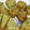 クックQ51Z5P☆'s cooksnap of when they made 簡単！材料4つでおからと大豆粉のスコーン.