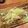 なす58's cooksnap of when they made チャーシューおつまみ！ネギ！リメイク！.