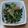 みぃくんのママ's cooksnap of when they made じゃこほうれん草.