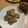 ポメちょん's cooksnap of when they made 簡単 ソーキ 豚軟骨煮込み 沖縄気分♪.