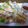 へなみっこ's cooksnap of when they made 野菜たっぷり生春巻き☆.
