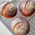 ほかとも's cooksnap of when they made 生クリームでリッチなプチパン。.