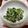 マヨメロディー's cooksnap of when they made 簡単！ほうれん草とツナのからしマヨ和え♪.