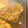 ピクミンちゃん's cooksnap of when they made 香ばしさがたまらない！ソース焼きそば.