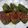 クックL0VMQR☆'s cooksnap of when they made ピーマンの肉詰め.