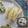 melmarilyn's cooksnap of when they made 大根生姜てんぷら.
