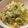 ベティ３'s cooksnap of when they made ♪キャベツとハムのパスタ♪.