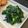 クック5E2Q86☆'s cooksnap of when they made 簡単ほうれん草ナムル.