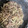 クック35PKT6☆'s cooksnap of when they made 牛肉とごぼうのしぐれ煮.