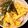 ♩キティ♩'s cooksnap of when they made 電子レンジで簡単*錦糸卵.