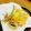 のーかのむすめ's cooksnap of when they made #エコでおいしい レンコンの皮チップス.
