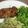 Yokchina's cooksnap of when they made 簡単わさび醤油の豚肉ステーキ.