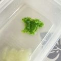 クック6U7INU☆'s cooksnap of when they made 【離乳食 中期】オクラペースト きざみ.