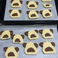 さとまみー's cooksnap of when they made かわいい簡単！犬のアイスボックスクッキー.