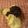 wakwaksan's cooksnap of when they made あいすまんじゅう！？　餡子アイス.