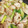 あかせんまい's cooksnap of when they made 子供のリクエスト給食の焼き鳥.