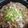 マリ丼's cooksnap of when they made キャベツとベーコンの和風？中華？スープ.