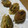 mydogkohaku's cooksnap of when they made ふきのとうの天ぷら.