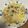 がんばれゆきち's cooksnap of when they made プロの野菜具沢山簡単絶賛ボンゴレビアンコ.
