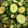 saki1010's cooksnap of when they made 新食感　オクラときゅうりの塩昆布和え　.