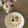 nanako0775's cooksnap of when they made 離乳食でひなまつり☆.