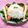 みるくちゃん♡'s cooksnap of when they made 新野菜！シオーナと新玉ねぎポン酢和え.