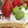 naoへoへ's cooksnap of when they made ふわっとしっとりスポンジケーキ.