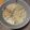 とりさん♡'s cooksnap of when they made 白菜と豚ロースのクリーム煮.