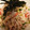 naki1227's cooksnap of when they made しらたきの簡単白和え.
