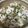こよんた's cooksnap of when they made 豚しゃぶしゃぶ肉と水菜のサッと煮.