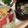 クックSY6YS8☆'s cooksnap of when they made 蛤のお吸い物.