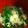 とろけい's cooksnap of when they made 豆苗と卵の簡単ヘルシースープ.