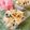 おうちごはん☆'s cooksnap of when they made のりごまあえ.