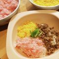 MizuBerlin's cooksnap of when they made 手作り♪優しい甘さの桜でんぶ♪.