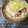 重次郎's cooksnap of when they made 野菜たっぷりワンタン春雨スープ.