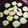 ぴーすけ（・θ・）'s cooksnap of when they made 羽の食感♫極シンプル！フライパンクッキー.