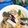 クック4JJMG3☆'s cooksnap of when they made さんま缶と豆苗で！ボリュームトマトパスタ.