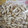 くネコまろす's cooksnap of when they made しめじ　の　冷凍保存方法.