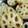 クックYAYVMD☆'s cooksnap of when they made 簡単！蓮根の煮物.