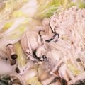 ☆とらねこトラちゃん's cooksnap of when they made 5分で簡単美味しい♪あったか牡蠣鍋.
