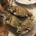 avu1000's cooksnap of when they made マツカサウオの酒蒸し.